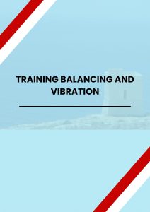 pelatihan BALANCING AND VIBRATION online