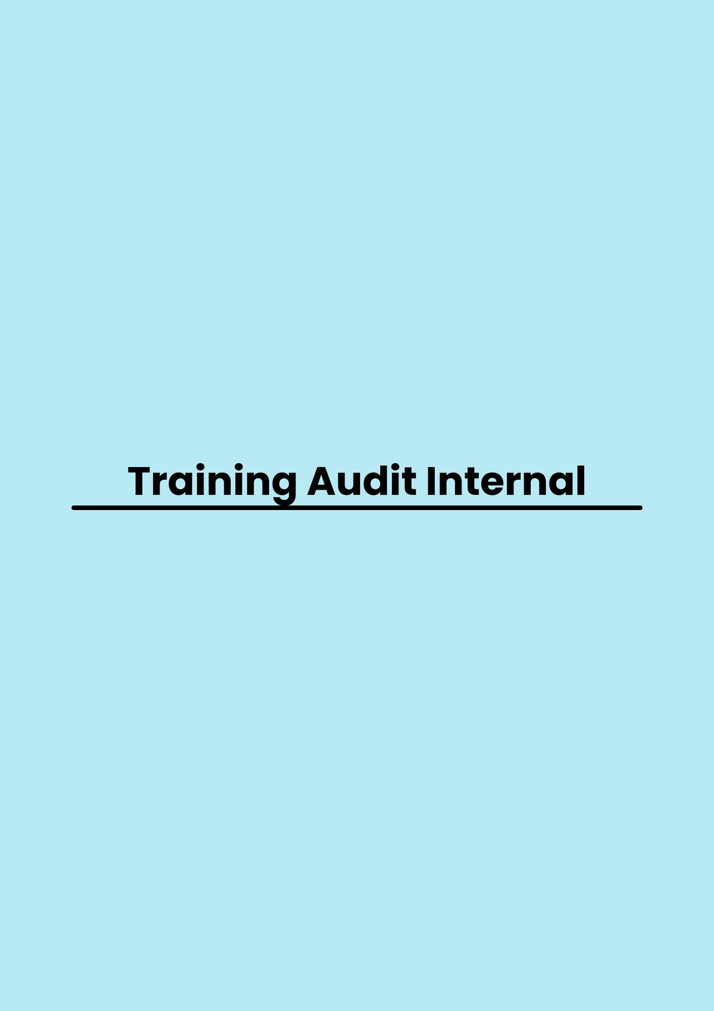 Training Audit Internal